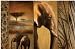 Kitchen & Housewares : Safari Elephants Comfort Mats