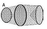 South Bends Silver Wire Minnow Trap