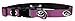 Moose Pet Wear Dog Collar â€“ University of Iowa Hawkeyes Adjustable Pet Collars, Made in The USA â€“ 1 Inch Wide, Medium, Pink Carbon Fiber