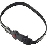 Spotbrites Glo-Brite Led Safety Dog Collar (Medium 17 - 23)