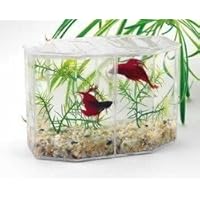 Large Aquarium Betta Keeper