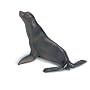 Schleich Sea Lion
