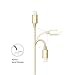 Lizone® 6ft USB Cable with Lightning Connector [Apple MFi Certified] for iPhone 6s 6s Plus 6 6 Plus 5s 5c 5, iPad Pro Mini Air iPad5, iPod and More (Nylon Braided-Gold)
