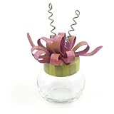 IMAGE OF Glass Jar with Lid, Pink Round Top Collection