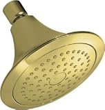 KOHLER K-10282-PB Forte Single-Function Showerhead, Vibrant Polished Brass