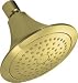 KOHLER K-10282-PB Forte Single-Function Showerhead, Vibrant Polished Brass