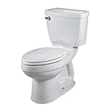 winnChampion 4 Right Height Elongated Toilet Finish: Silver, Trip Lever: Left