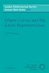 Elliptic Curves and Big Galois Representations (London Mathematical Society Lecture Note Series)