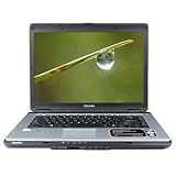 Toshiba Satellite L305-S5918 Pentium Dual-Core T3400 2.16GHz 2GB 160GB DVD� ....