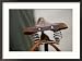 Bicycle Saddle, Znojmo, Czech Republic Collections Framed Photographic Poster Print by Russell Young, 29x21