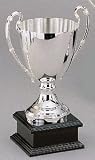10.5 TROPHY WITH BASE - 10.5 TROPHY WITH BASE