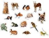 PETS: PHOTOGRAPHIC Realistic Shape Stickers