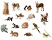 PETS: PHOTOGRAPHIC Realistic Shape Stickers