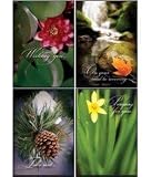 Card-Boxed-Get Well-Nature Close-Ups (12 Pack)