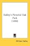 Halley's Pictorial Oak Park (1898)