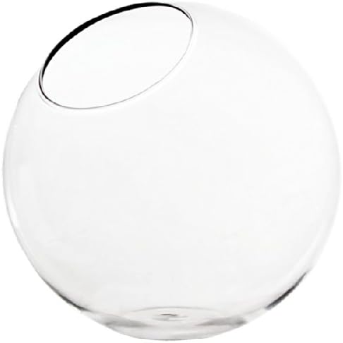CYS® Plant Terrarium Half Slope Bubble Bowl by CYS (Wholesale Lot of 18 pcs)