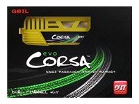 GEIL Evo Corsa Series Dual Channel Arbeitspeicher 4GB (2133MHz, 240-polig, 2x 2GB, CL9) DI Preisvergleich