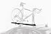 Thule Prologue