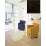 2x3 Longwool Sheepskin Single Rug (Black) (4H x 2'W x 3'D)