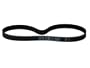 Continental Timing Belt