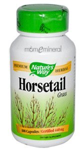 Horsetail Grass 440 mg 100 Capsules by Nature's Way