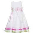 Rare Editions Girls 2-6X Butterfly Dress