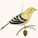 Goldfinch