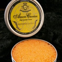 Whitefish Gold Caviar 2oz by Bemka