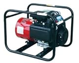 Consumer Portable Generator - 2300 W, Standard Low Oil Protection