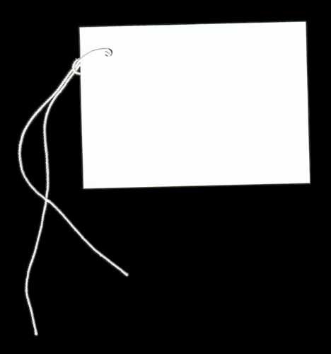 100 Blank WHITE Hang Tags (2-1/2