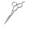 Tweezerman  Stainless 2000 Styling Shears