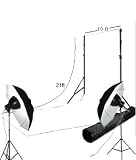 10ftx21ft Seamless White Muslin Backdrop with a Stand and 2 studio lights