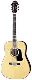 Aria AW-20E Acoustic Guitar with Electronics