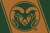 Colorado State Rams 310 x 54 Team Spirit Area Rug