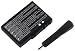 DS Lite Battery
