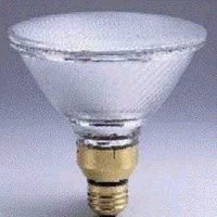 100W HALOGEN FLOOD PAR38