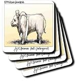 Review 3dRose LLC  / Braman Bull - Set Of 8 Ceramic Tile Coasters