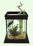 Current USA BettaCube Aquarium Kit