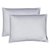 Review Carpenter Co.  / - White Ambient Holofiber 2-pk. Plws - Standard