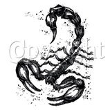 Scorpion Adult T-Shirt
