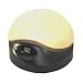 BioBrite Sunrise Clock Advanced Model  Charcoal