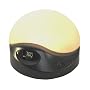 BioBrite Sunrise Clock Advanced Model, Charcoal