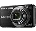 Sony - Cyber-shot DSC-W170 black