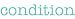 condition Giant Word Wall Sticker, Mint, 40