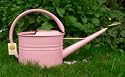 Pink Watering Can from Haws - 5 Litres