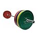 VTX by Troy Barbell 275 lb. Bumper Plate Set