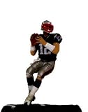 McFarlane NFL 3 Inch Tom Brady