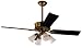 Hunter Fan Company