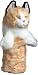 Daphne's Cats Headcover Calico Cat