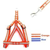 Reflective Woven Nylon EZ Step-in Dog Cat Harness & Lead Set - Small (11-18) / Electric Orange